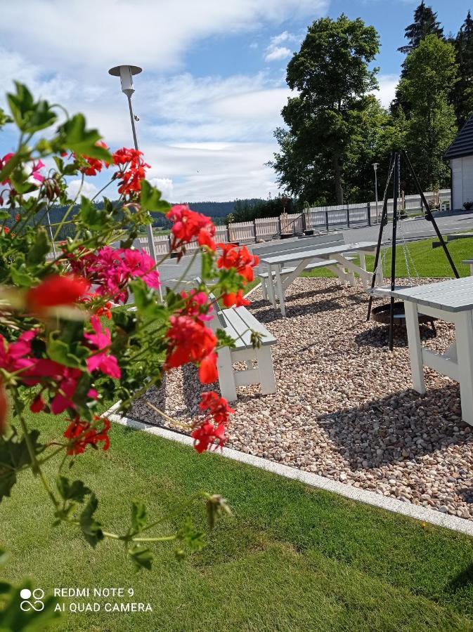 Caloroczny Osrodek Wypoczynkowy Comfort House Villa Duszniki Zdrój Buitenkant foto